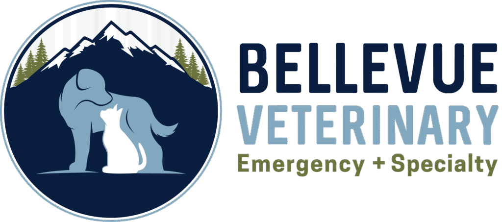 Bellevue Veterinary Emergency and Specialty - Bellevue, Washington