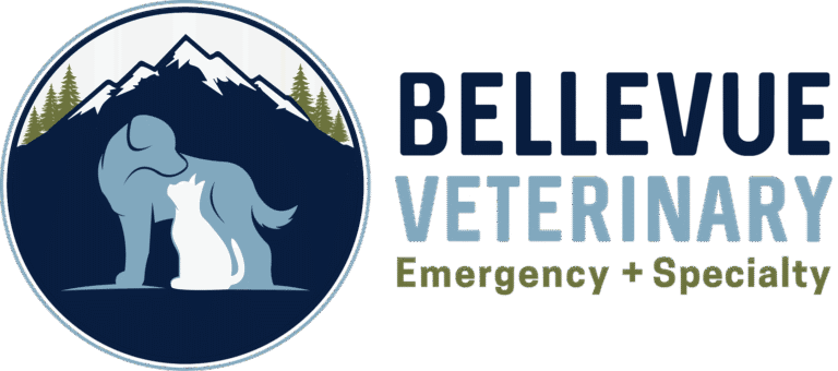Bellevue Veterinary Emergency and Specialty - Bellevue, Washington