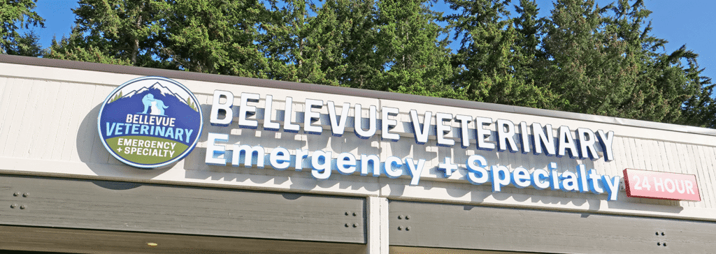 Bellevue Veterinary Emergency and Specialty Hospital - Bellevue Washington