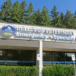 Bellevue Veterinary Emergency and Specialty Outside - Bellevue Washington