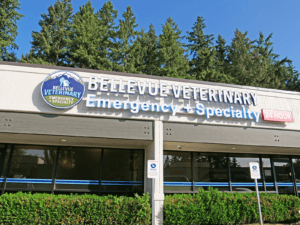 Bellevue Veterinary Emergency and Specialty Outside - Bellevue Washington