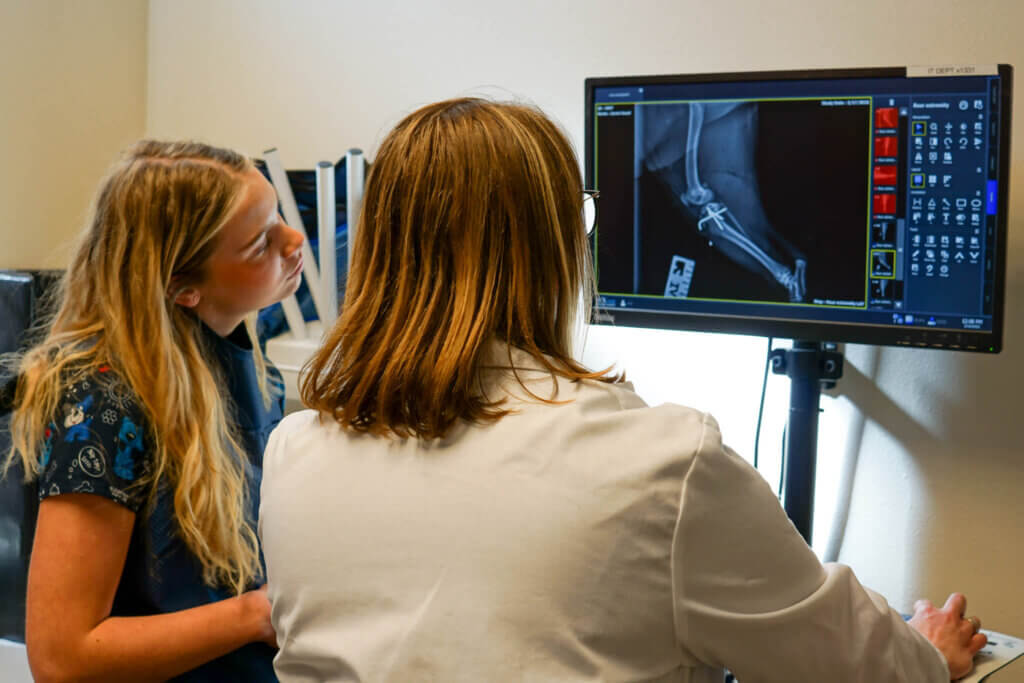 Vet Diagnostic Imaging - Bellevue Veterinary Emergency and Specialty