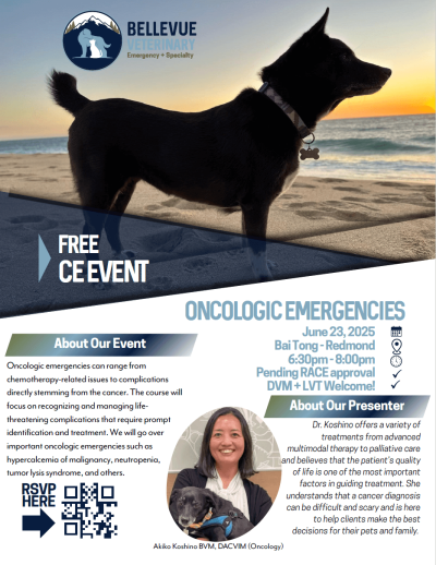 Bellevue_June_CE_Event