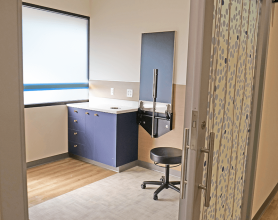 Animal Exam Room - Bellevue Veterinary Emergency and Specialty