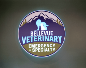 Bellevue Veterinary Emergency and Specialty - Bellevue, Washington