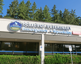Bellevue Veterinary Emergency and Specialty Outside - Bellevue Washington
