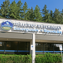 Bellevue Veterinary Emergency and Specialty Outside - Bellevue Washington