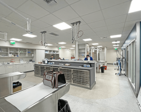 Pet Diagnostics Room - Bellevue Veterinary Emergency and Specialty