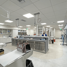 Pet Diagnostics Room - Bellevue Veterinary Emergency and Specialty