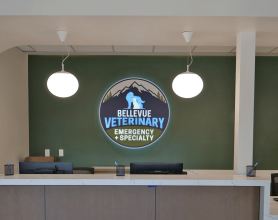 Pet Emergency Hospital - Bellevue Veterinary Emergency and Specialty