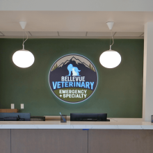 Pet Emergency Hospital - Bellevue Veterinary Emergency and Specialty