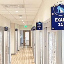 Pet Exam Rooms - Bellevue Veterinary Emergency and Specialty