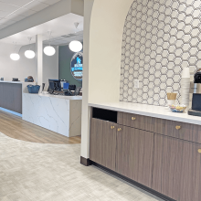 Pet Hospital Registration - Bellevue Veterinary Emergency and Specialty